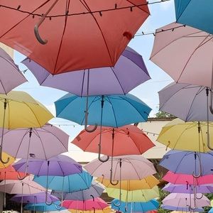 Meet your Posher, Sammy